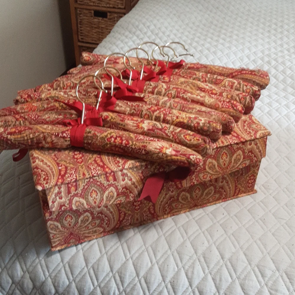 Storage box and 10 hangers - Picture 1 of 3